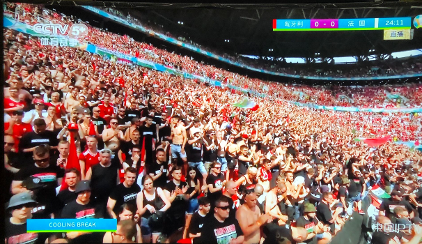 匈牙利战平法国,小组赛出线形势不明朗 匈牙利战平法国,小组赛出线形势不明朗