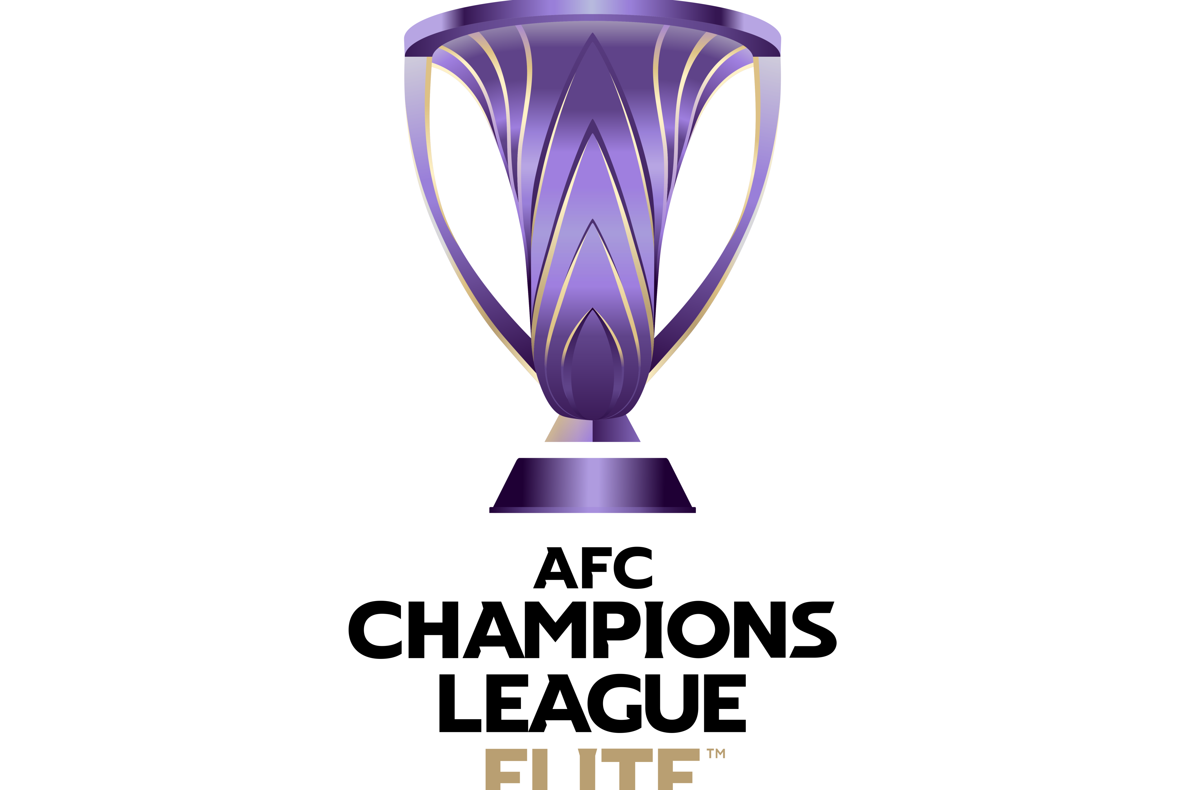 新西兰足球队勇夺亚太冠军称号 新西兰足球队勇夺亚太冠军称号