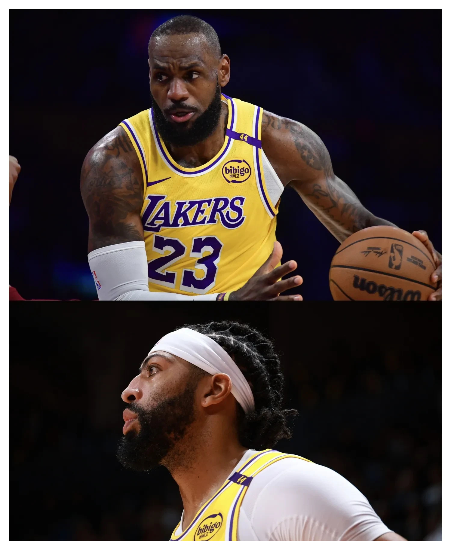 独行侠战胜指挥稳健 独行侠战胜指挥稳健